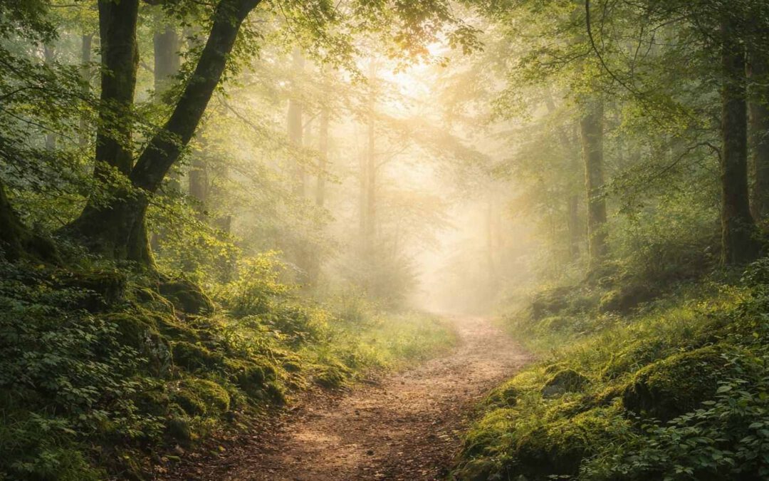 Was Hypnose-Coaching sein kann – und was nicht